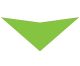 S3146 Lime Green Bandana