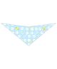 S3017 White Paws & Bones Easter Bandana, Blue