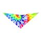 S3210 Tiedye Seventies Inspired Doggie Bandana, Rainbow