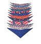 SPKS5 Bandanas Variety Pack Per Size - 12 assorted NATIONAL DAY-FLAGS bandanas  