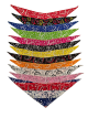 SPKS2 Bandanas Variety Pack Per Size - 12 assorted PAISLEY bandanas  