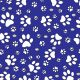 SQ3012 White Paws Bandana, Blue