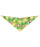 S3102 Purple & Yellow Flowers on Green Doggie Bandana
