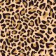 SQ3132 Cheetah Bandana