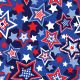 SQ3149 Stars on Blue Bandana