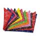 PKS1 60 Assorted PAWS & Bones Tieback Dog Grooming Bandanas / Groomers Bulk Package